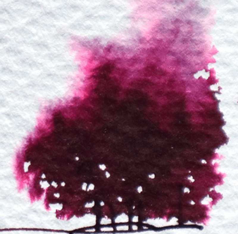 Diamine Blekkhus 30 ml. Writers Blood