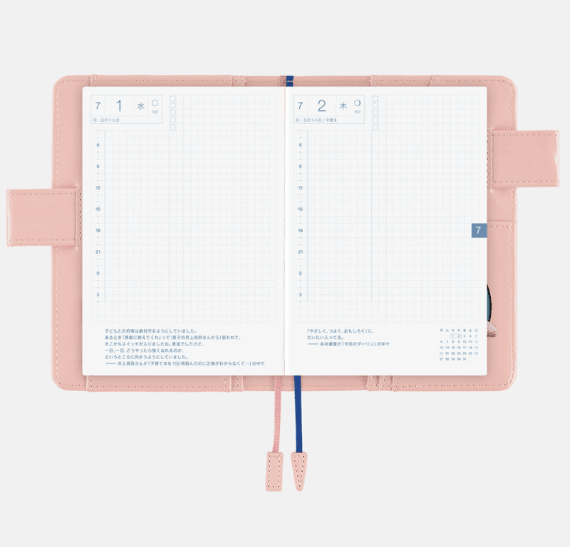 HOBONICHI Cover Candy Stripper Random Dog and Cat, A6