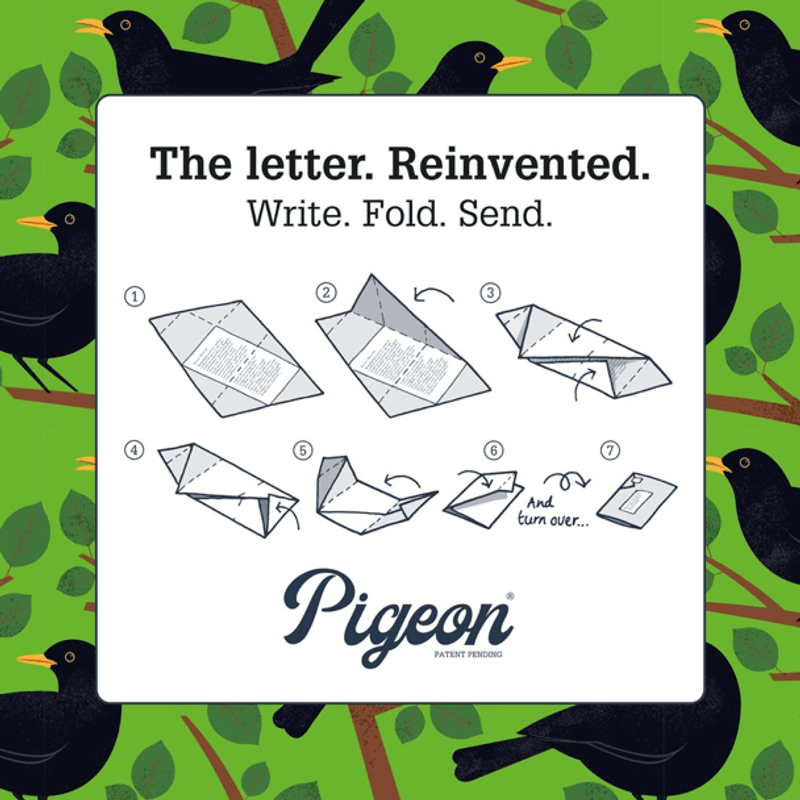 Pigeon The Letter, 6 stk Winter Berries