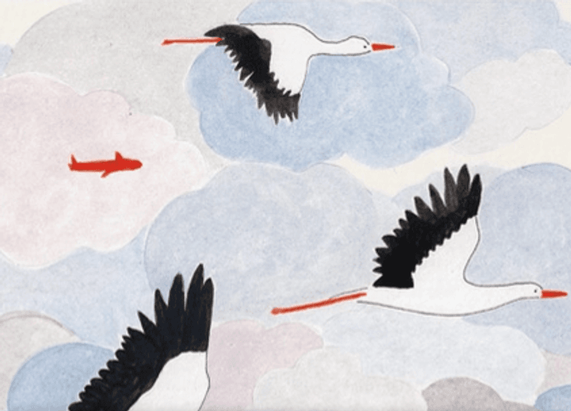 Petit Gramme Notatbok A5 Linjer/Plain Stork